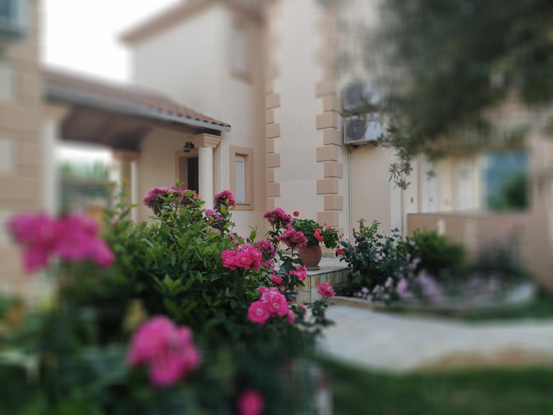 Villa Agrilida Vasilikí Dış mekan fotoğraf